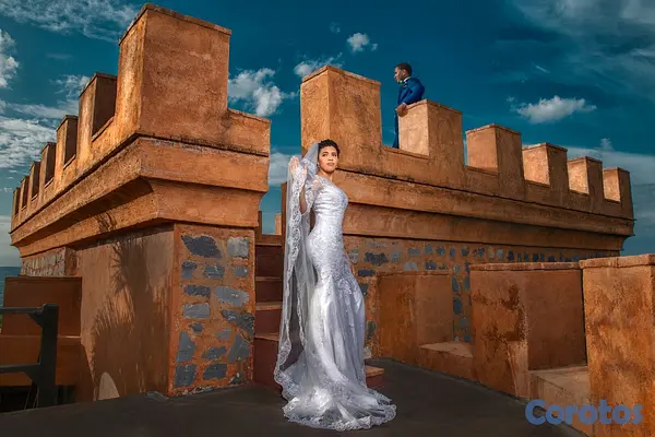 ropa para mujer - Vestido de novia que moldee tu figura 2