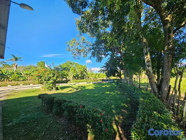 solares y terrenos - Solar de 168620m2 San Francisco de macoris 2