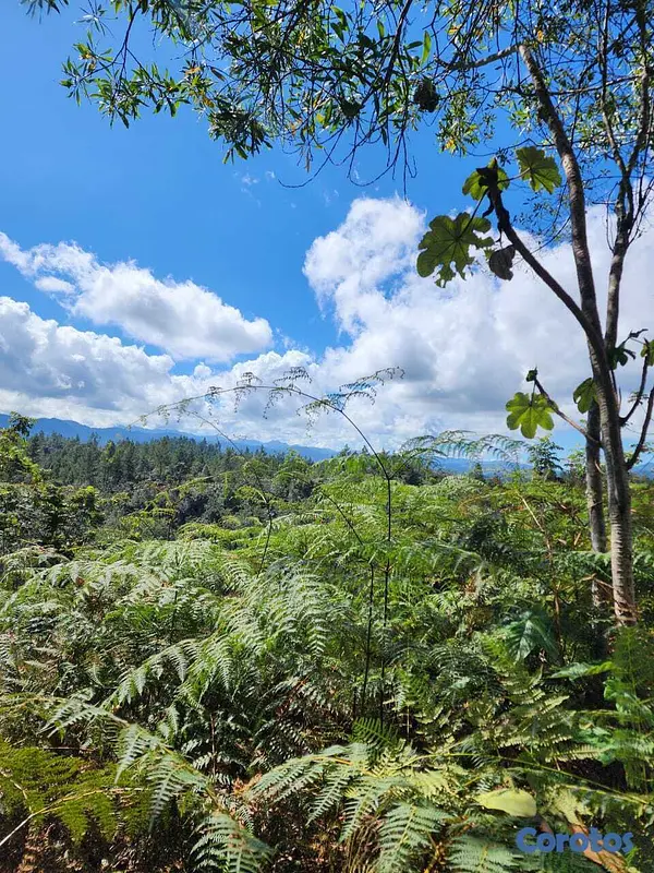solares y terrenos - Terreno en venta en Constanza, La Vega 7