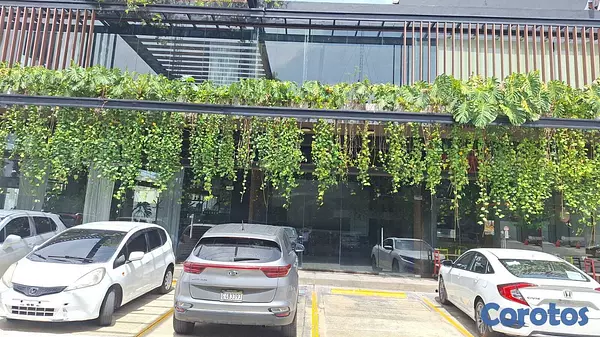 oficinas y locales comerciales - Local en Arroyo Hondo Viejo primer nivel 7
