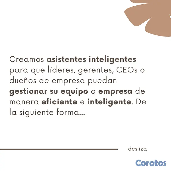 servicios profesionales - Oasis IA & Software  2