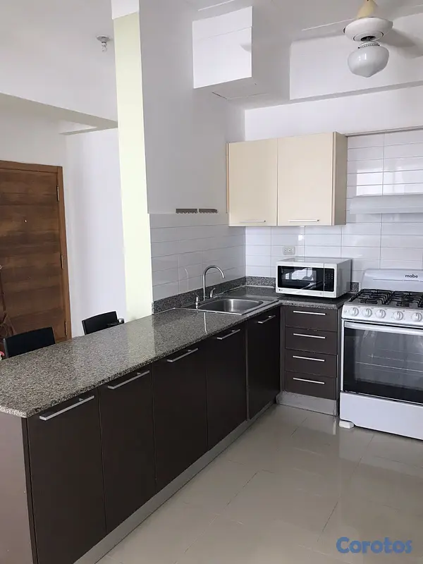 apartamentos - Alquilo Apartamento 1 habitacion. Linea Blanca. Serralles. 5