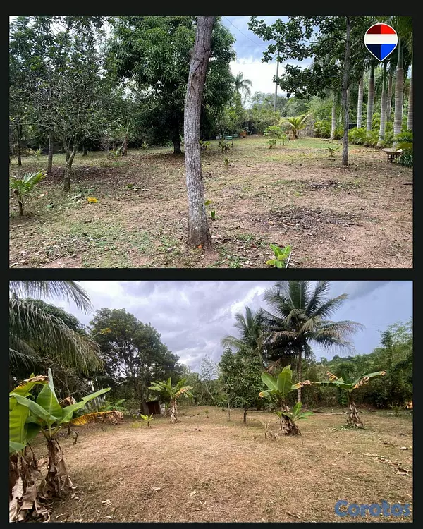 solares y terrenos - FINCA EN PEDRO BRAND 5