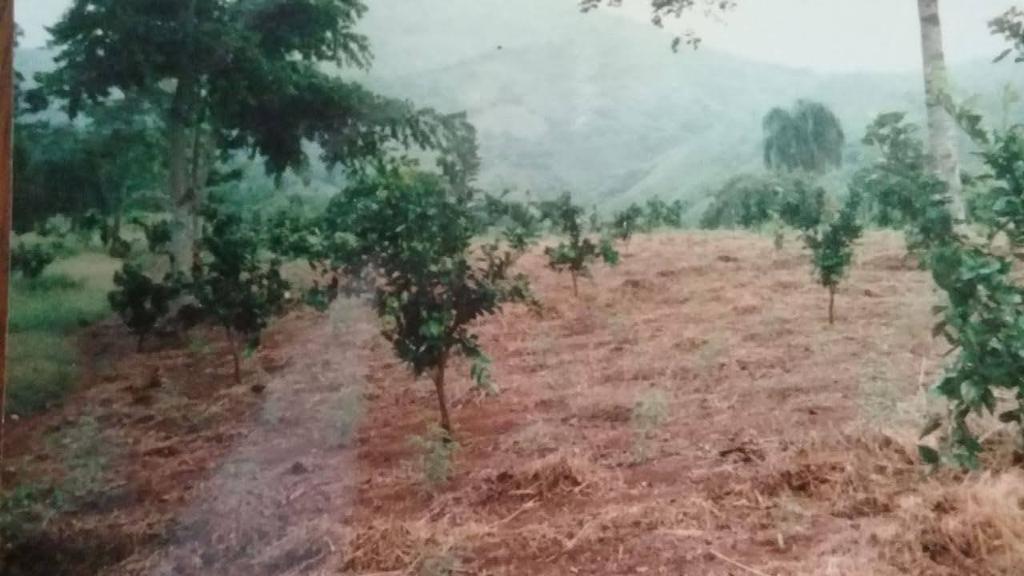 solares y terrenos - Finca con Oro en San Cristobal Documentos en orden 4