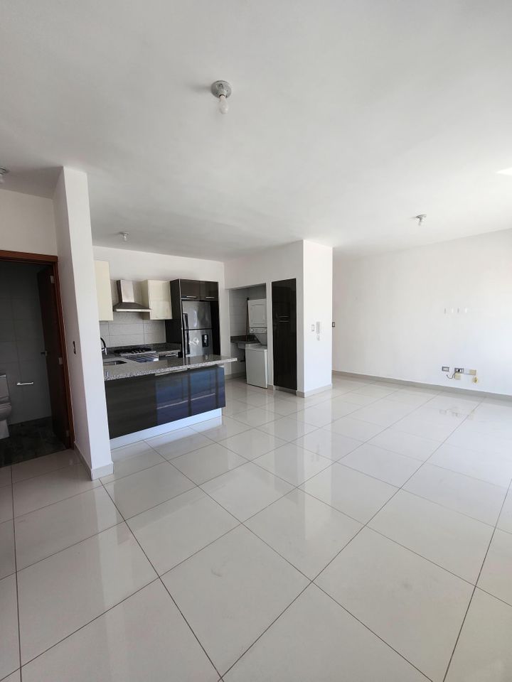apartamentos - Apartamento en Alquiler en Piantini 7