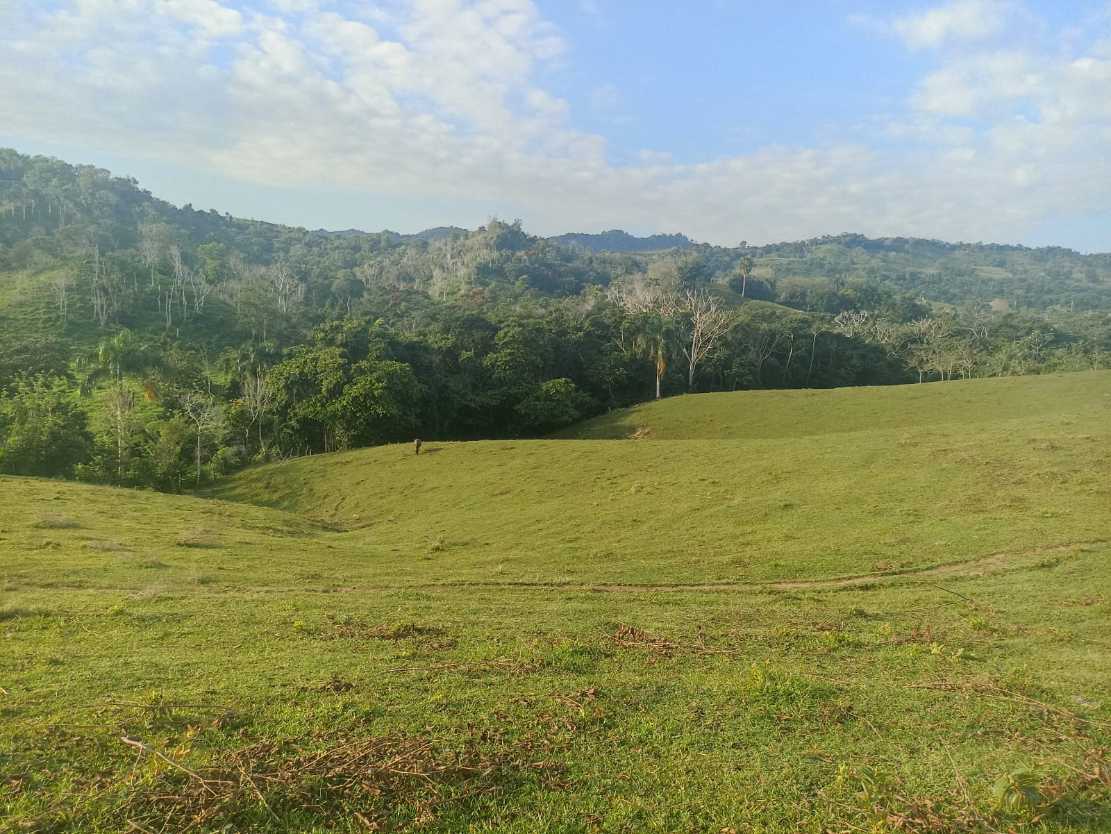 solares y terrenos - Finca Ganadera Oportunidad a 45 Minutos de ciudad 3