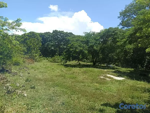 solares y terrenos - Se vendé este terreno con título definitivo  5