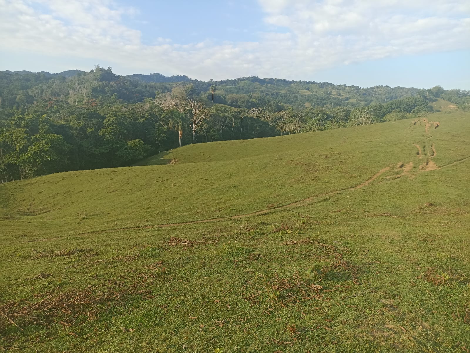 solares y terrenos - Finca Ganadera Oportunidad a 45 Minutos de ciudad 0