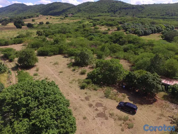 solares y terrenos - Finca en Bani 189.5 Tareas Titulo Definitivo   3
