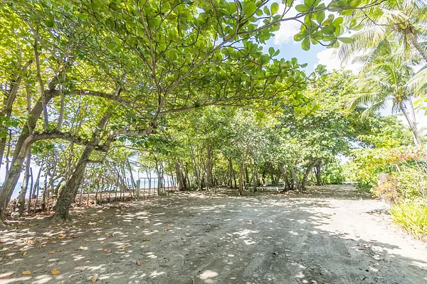 casas vacacionales y villas - Villa con piscina  en San Cristóbal-Palenque 8
