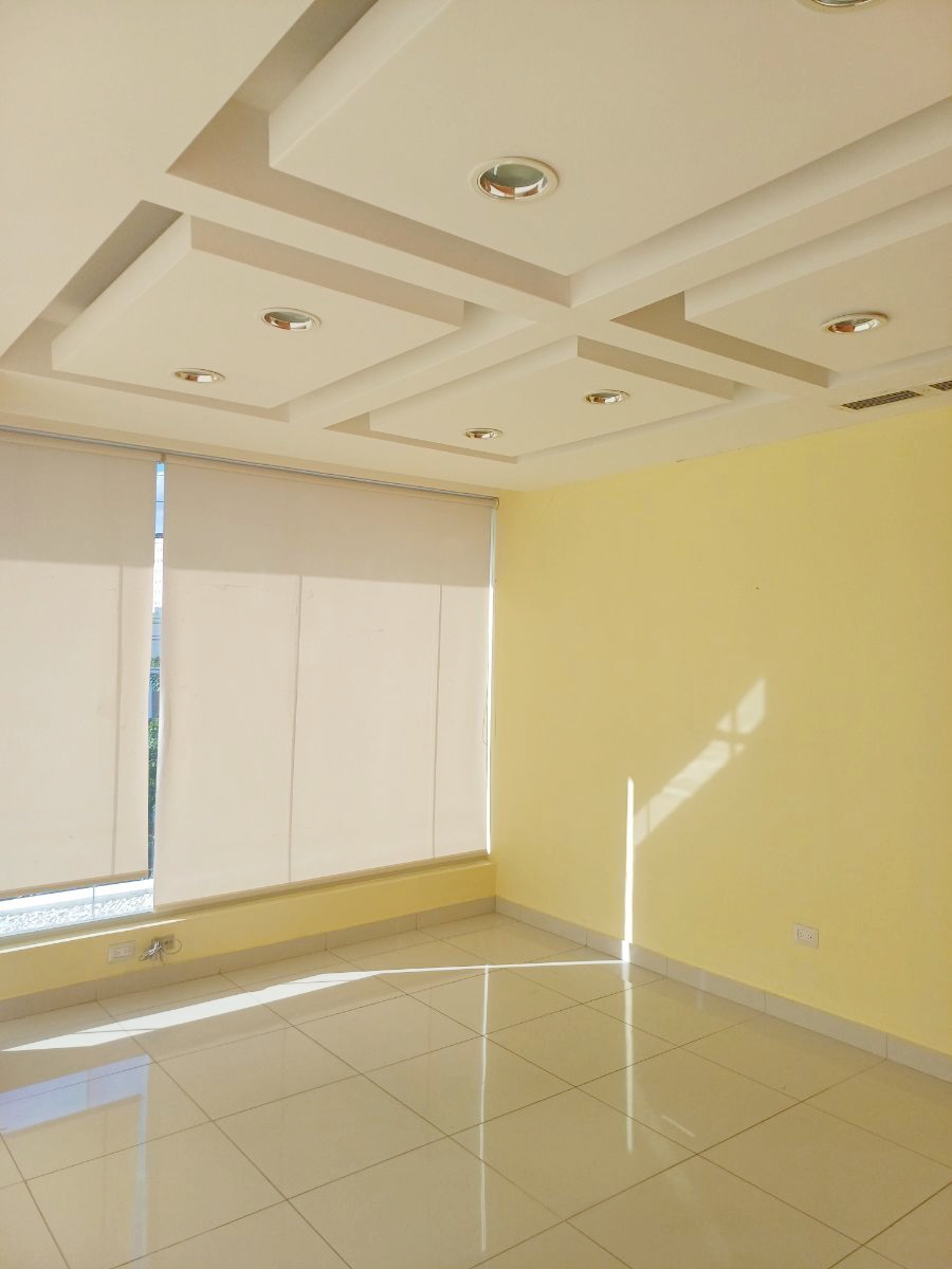 oficinas y locales comerciales - Local comercial y corporativo  3