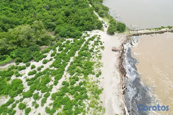 solares y terrenos - Vendo 424,726 Mts.2 de Terreno, con 635 metros lineales de Playa en Playa nueva  4