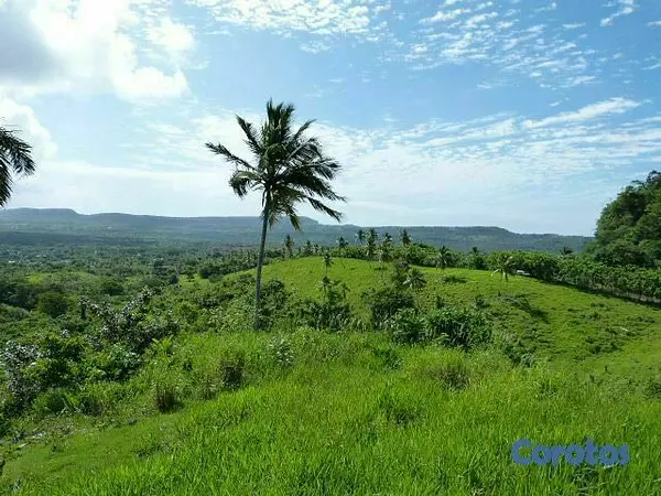 solares y terrenos - Se Vende Terreno con Playa Privada en Las Galeras, Samaná Samana 3