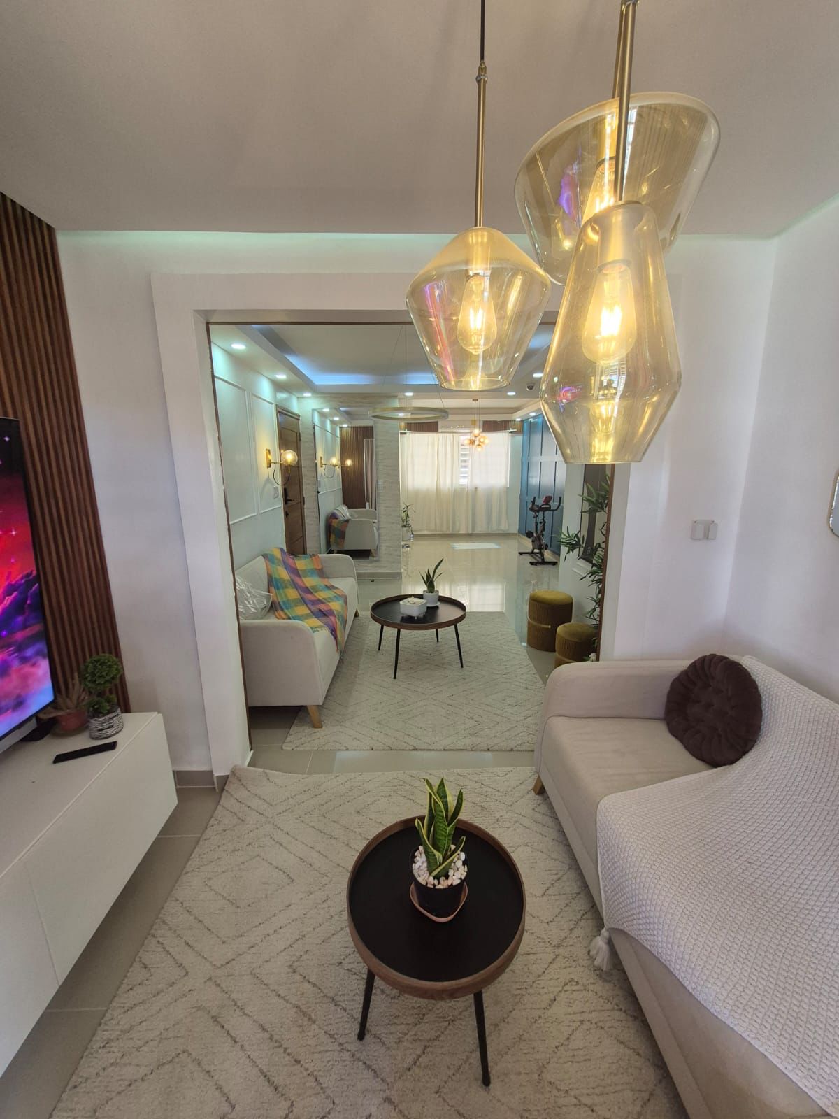 apartamentos - Se vende apartamento todo amueblado En STO Este 3