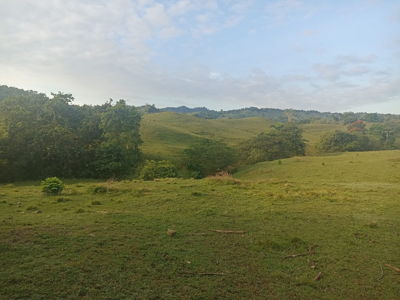 solares y terrenos - Finca Ganadera Oportunidad a 45 Minutos de ciudad 2