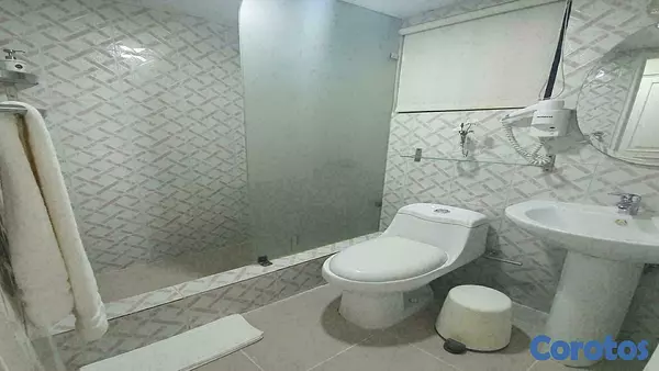 apartamentos - Apartamento Amueblado en Alquiler en Piantini 8