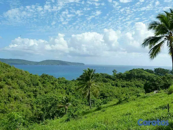 solares y terrenos - Se Vende Terreno con Playa Privada en Las Galeras, Samaná Samana 4