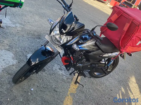motores y pasolas - TVS 100 sport 2024 3