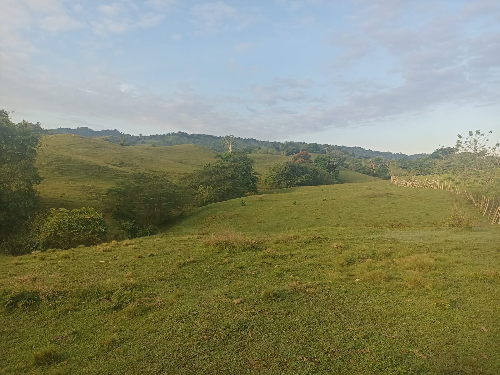 solares y terrenos - Finca Ganadera Oportunidad a 45 Minutos de ciudad 4