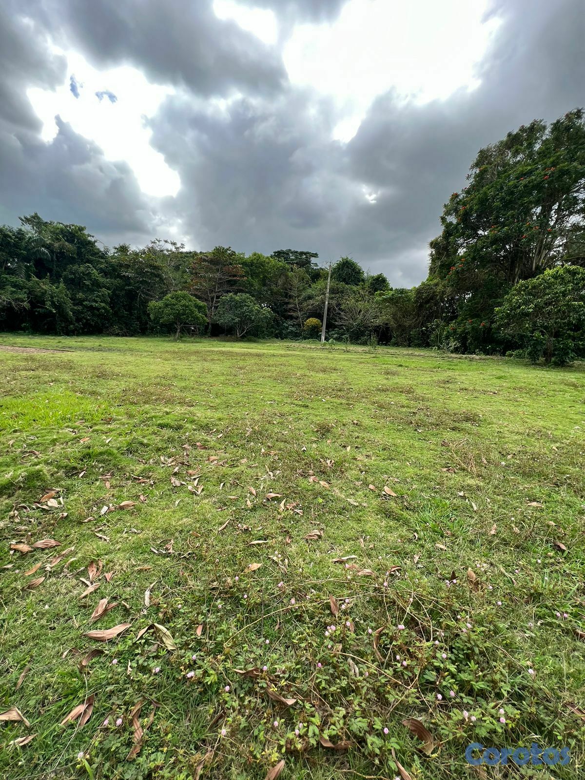 solares y terrenos - FINCA PARA DESARROLLO Y GANADERIA DE ALTO VALOR PR 10