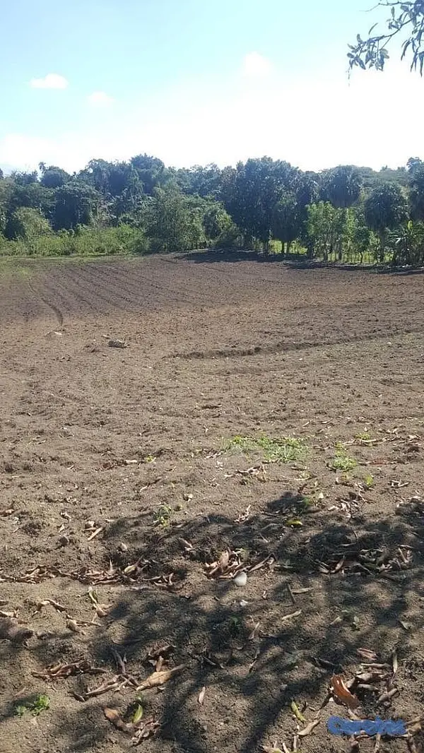 solares y terrenos - Venta de finca con edificación comercial / residencial 3
