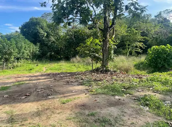 solares y terrenos - VENTA 8 SOLARES CON CONCEPTO RESIDENCIAL – PIEDRA BLANCA BONAO 3