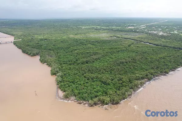 solares y terrenos - Vendo 424,726 Mts.2 de Terreno, con 635 metros lineales de Playa en Playa nueva  5