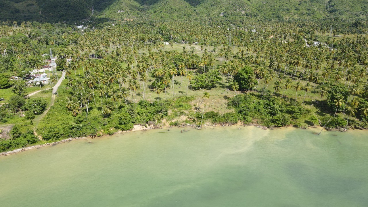 solares y terrenos - Solar 46,000 mts  Samana en Majagual 0