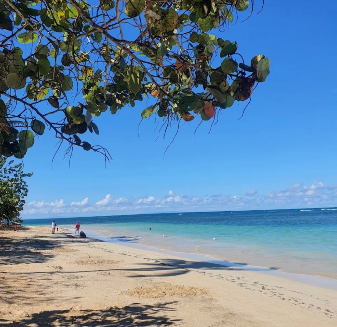 casas vacacionales y villas - Vendo espectacular apto en Samaná Terrenas. 3 hab. 8
