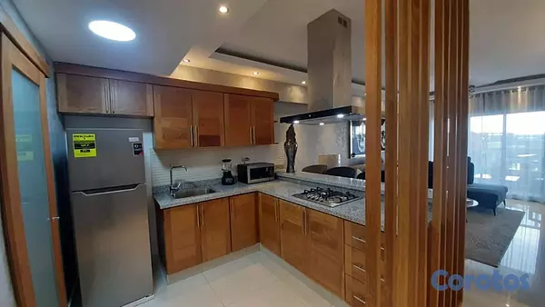 apartamentos - Alquilo Elegante apartamento Amueblado en Evaristo 7