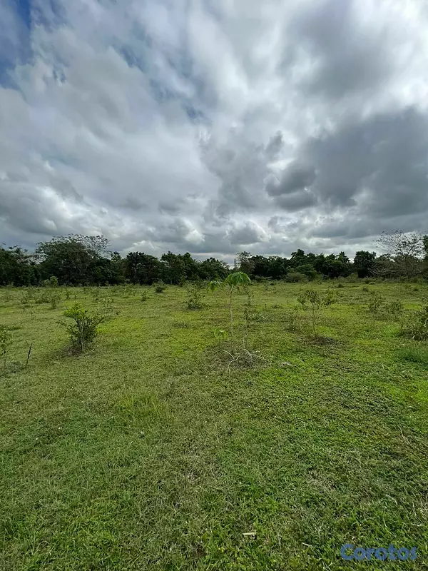 solares y terrenos - FINCA PARA DESARROLLO Y GANADERIA DE ALTO VALOR PR 11