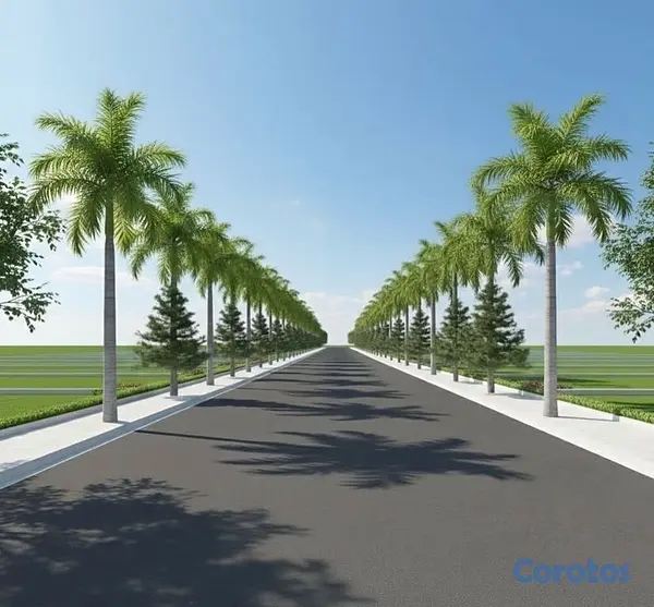 solares y terrenos - Rivera de Palmarito - Bonao 3