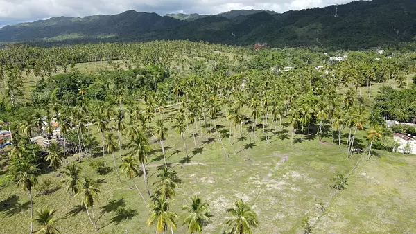 solares y terrenos - Solar 46,000 mts  Samana en Majagual 2