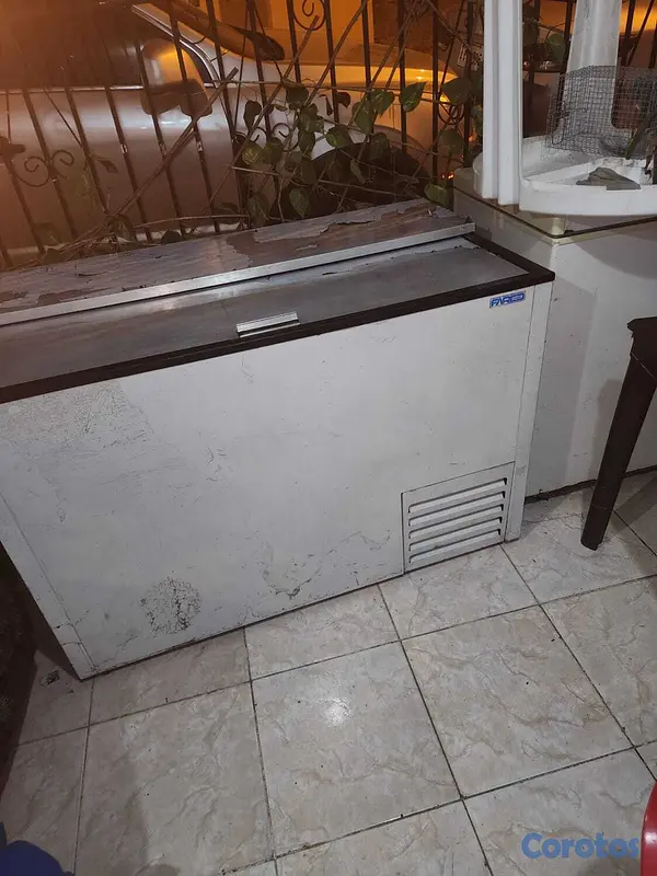 equipos profesionales - Vendo freezer 6