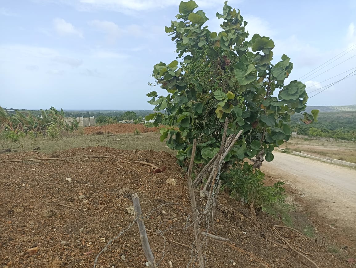 solares y terrenos - 🌄 Solares en Venta en Camú – Desde 400 m² | 1