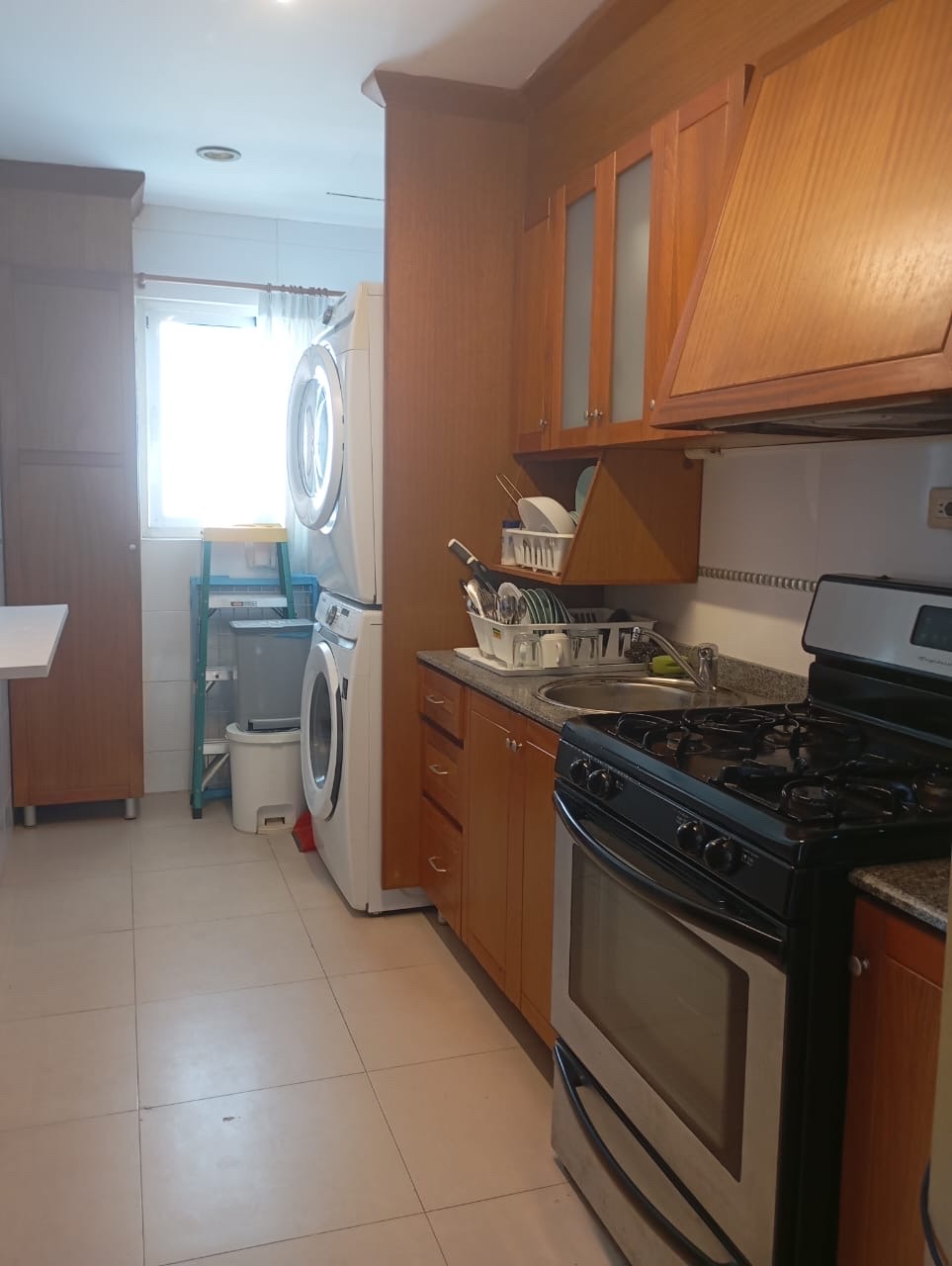 apartamentos - hermoso apartamento en  una zona céntrica en la esperilla  4