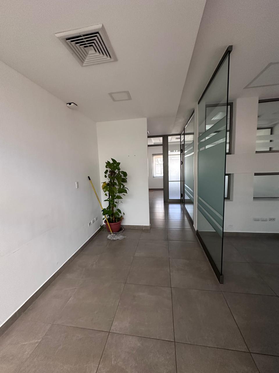 oficinas y locales comerciales - Oficina Amueblado en renta, Ensanche Julieta 8