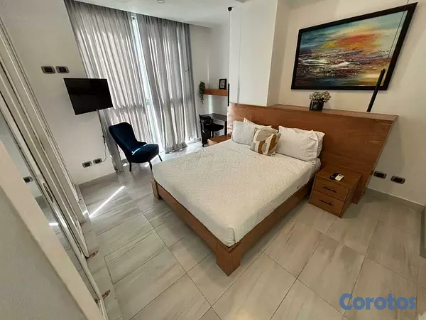 apartamentos - Apartamento Amueblado en Venta NACO 7