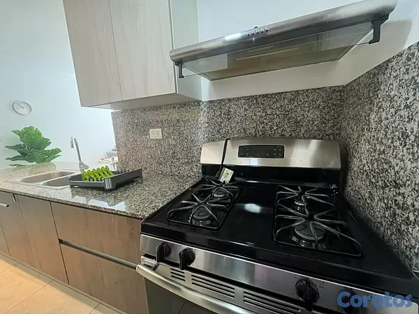 apartamentos - Apartamento en Alquiler en Naco Amueblado de UNA H 4