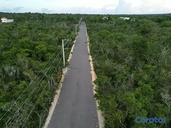 solares y terrenos - Bayahibe – Terreno en venta de 554 m2 2