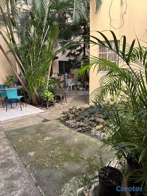apartamentos - Apartamento en Venta la Castellana  7