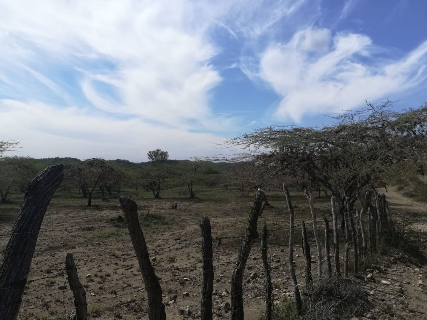 solares y terrenos - Terreno de 5,000 TAREAS en Guayubin, Montecristi, para Proyecto de Energía o Zon 1
