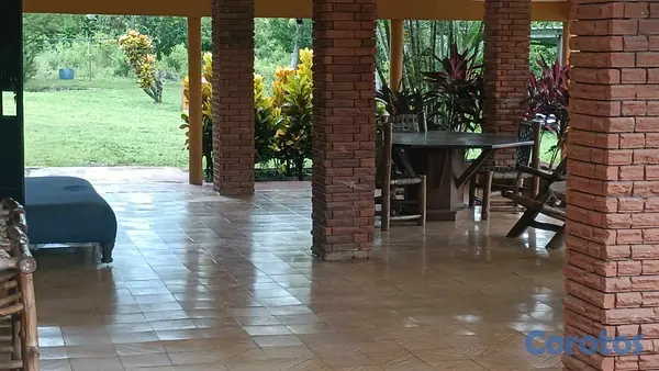 otros inmuebles - excelente finca de 50 tareas en Santo Domingo  7