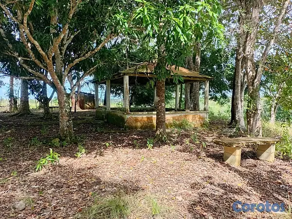 solares y terrenos - finca de 40 tareas en sabanagrande de boya  2