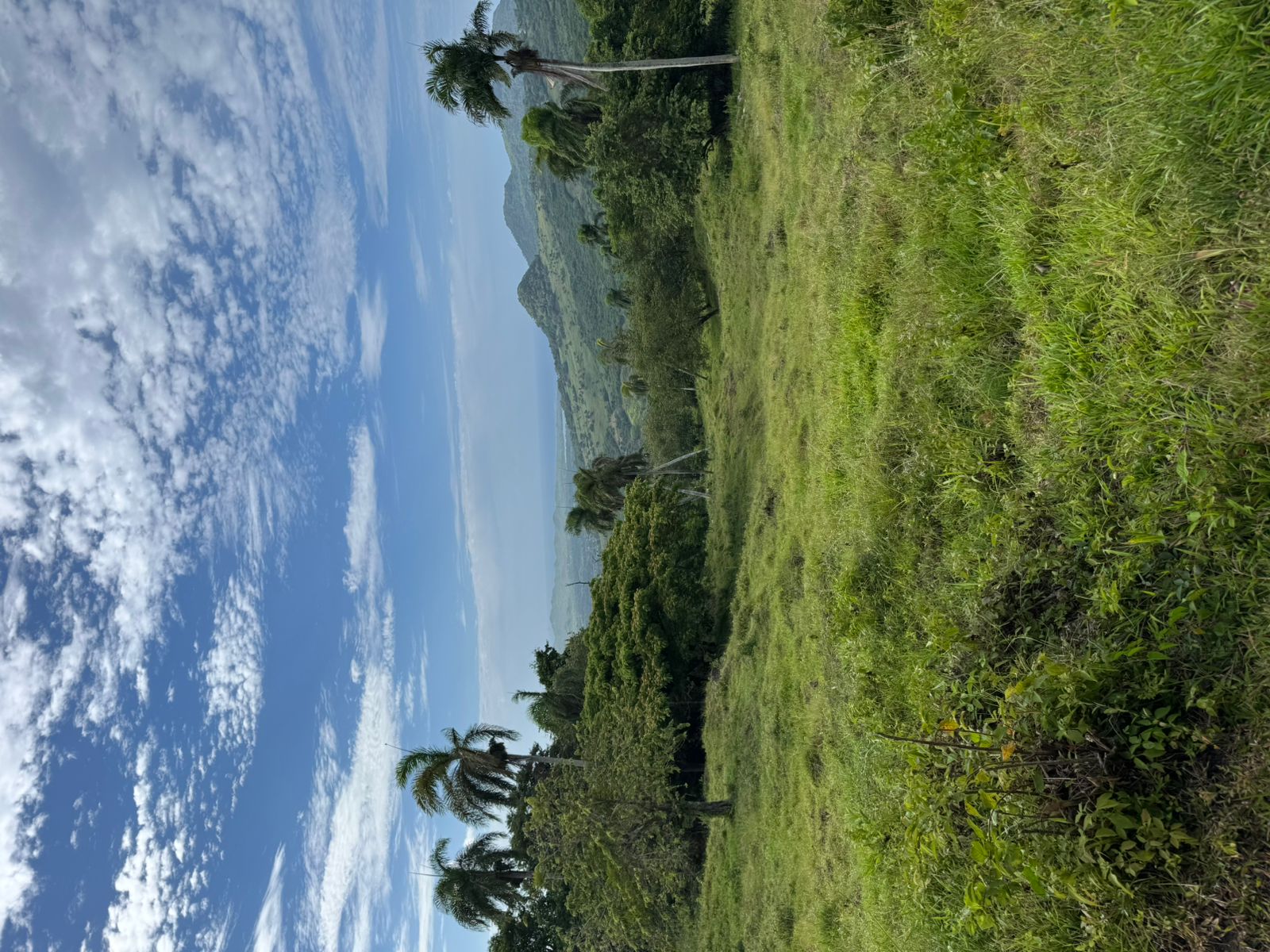 solares y terrenos - 🌿 Tropical Breeze Cupey – Proyecto Ecológico  9