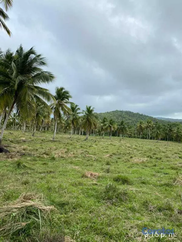 solares y terrenos - Terreno 7,500,000 Mts Frente de Playa en Miches 1