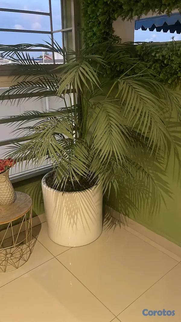 decoración y accesorios - Artículos  del hogar 1