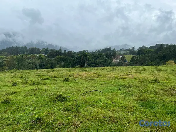 solares y terrenos - Terreno en jarabacoa 2