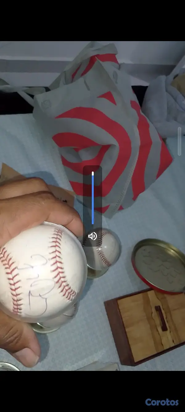 Artículos Deportivos - Colesión de pelotas, 
bates y monedas  15