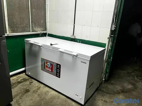 equipos profesionales - Freezer Tecnomaster 18 pies³ como nuevo – ideal ne